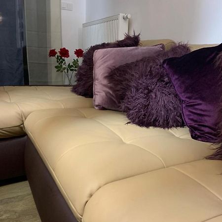 Ive'S Golden Gardenia Seaside Apartment Dziwnow Ngoại thất bức ảnh